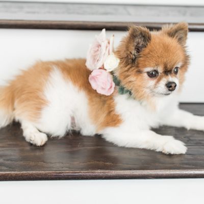 Vendor Guide | Secrets for success in renting out your inventory!