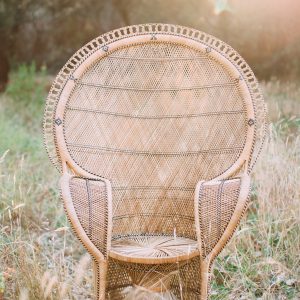 Vintage Wide Back Peacock Chair