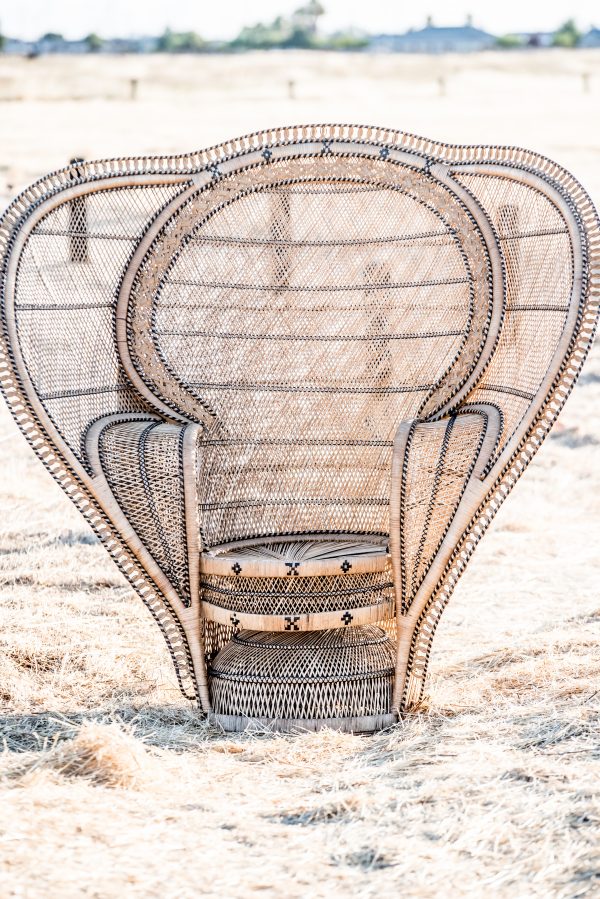 2020-07WhiteElephantCo31 2020-07WhiteElephantCo31