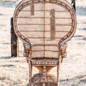 The Tiffany Peacock Chair