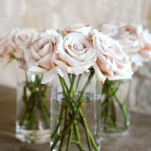 Glass Cylinder Vases (9in)