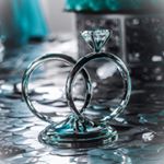 elegant events jacksonville