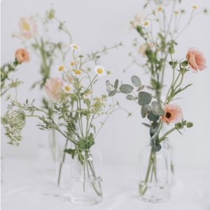Clear Glass Bud Vases (Small)