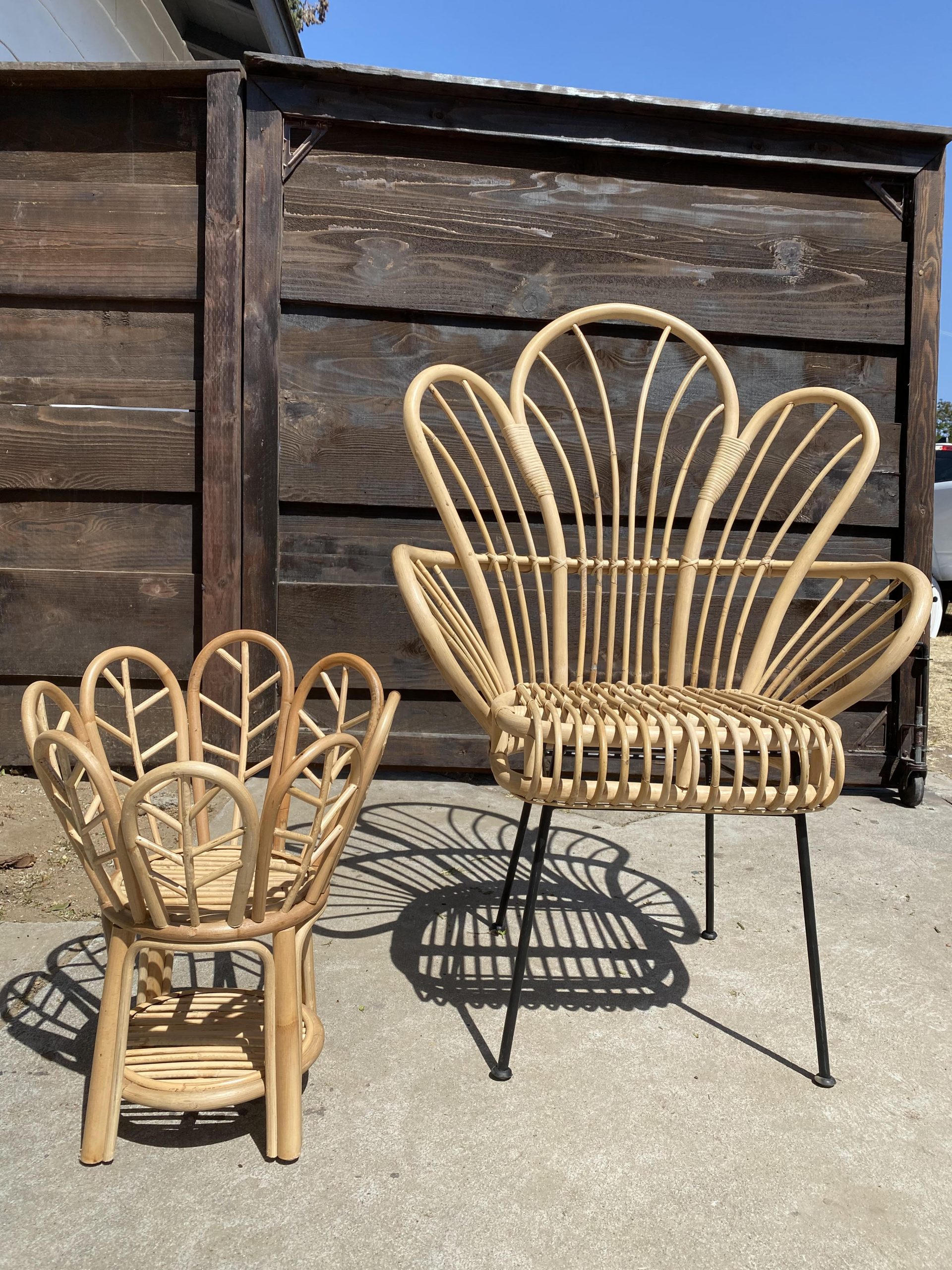 Rattan Chair & Plant Stand