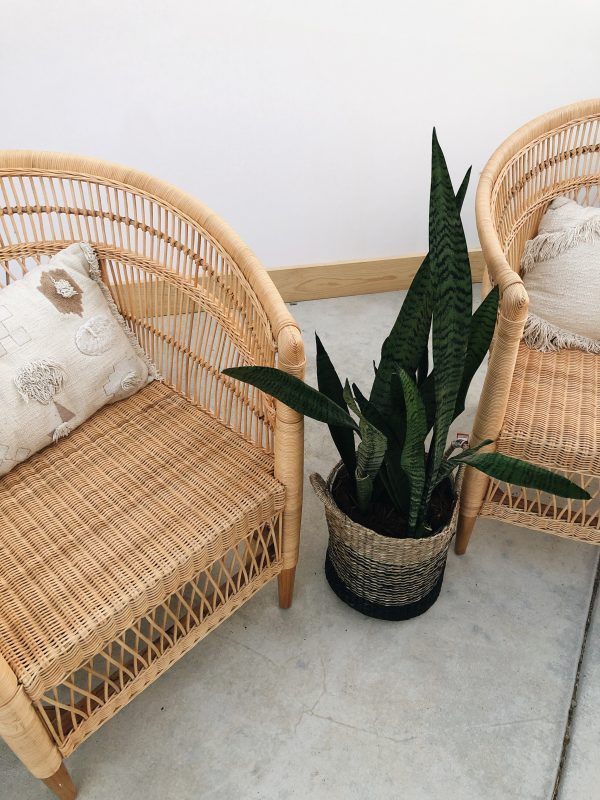 Processed with VSCO with a6 preset