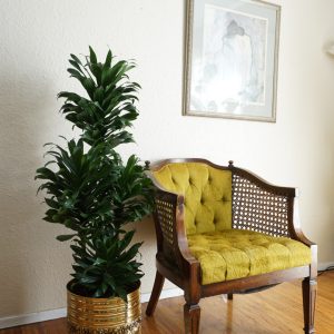 Vintage Green Tufted Wood and Cane Arm Chair
