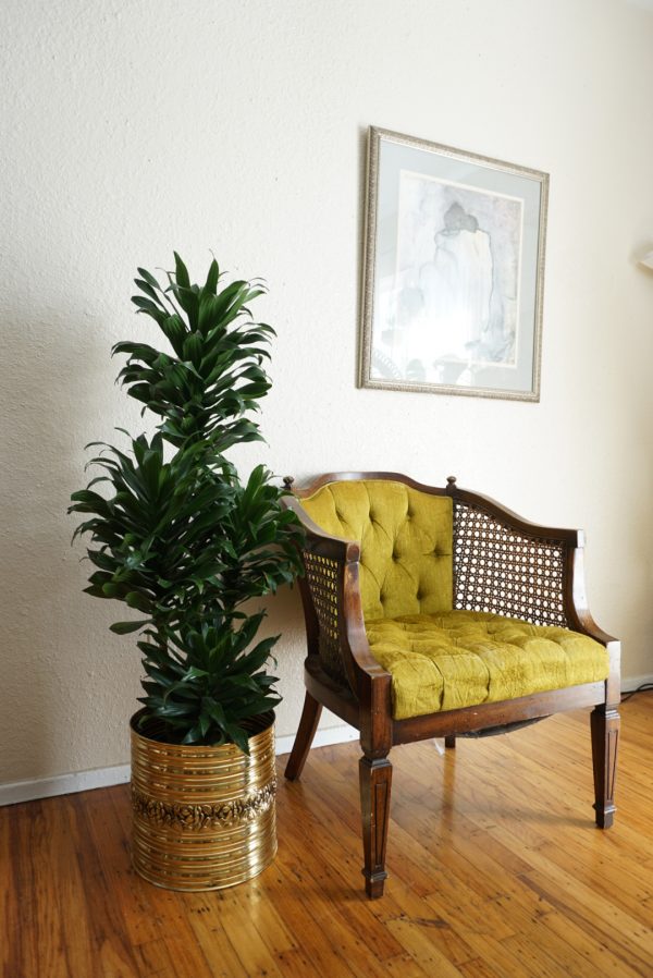 46E1A168-7EF7-4E02-AC41-85676CB73B15