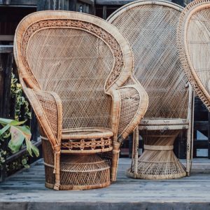 The Rayden Peacock Chair