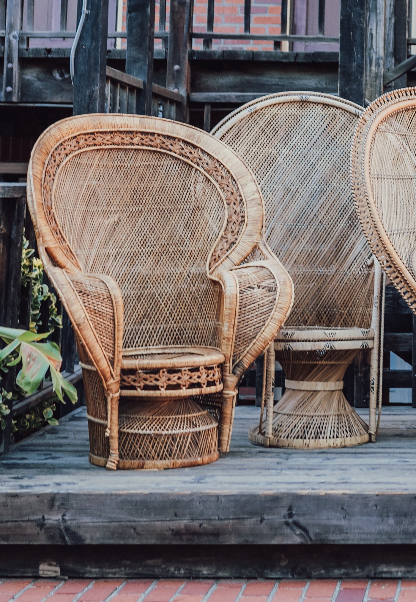 Processed with VSCO with kc25 preset