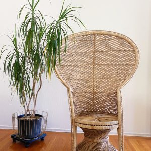 The Gretel Peacock Chair