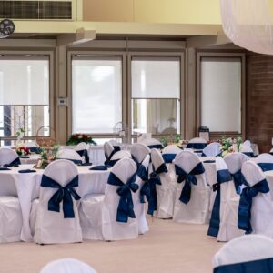 Polyester Banquet Chair Cover - White