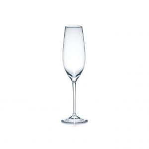 Champagne Flute Glass