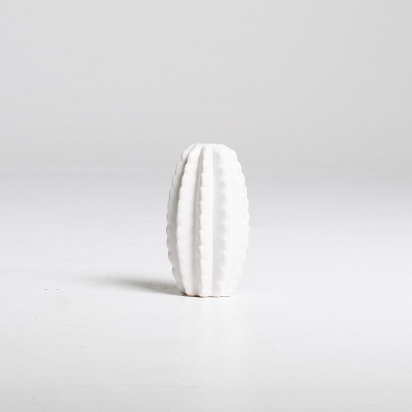 WhiteCactusVase