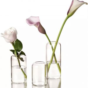 Clear Bud Vases (Tallest)