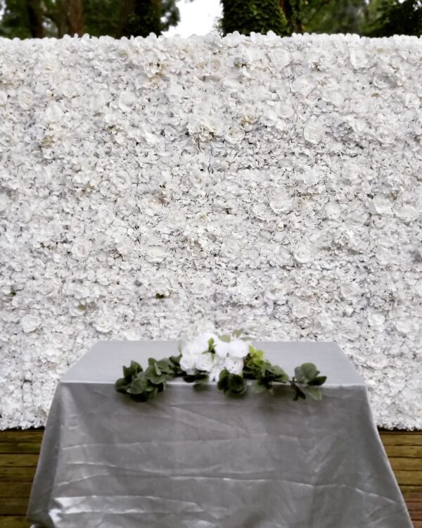 292281305_123087110430876_4812938749690610538_n 292281305_123087110430876_4812938749690610538_n