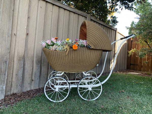 A85006AC-1086-4C2C-B981-E044B2434C76