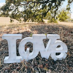 Small Light up love sign