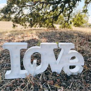 Small Light up love sign