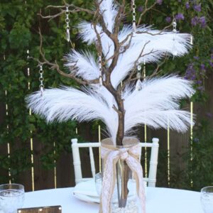 Elegant Woodland Collection