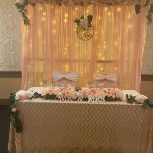 Backdrop Dusty Rose Curtains