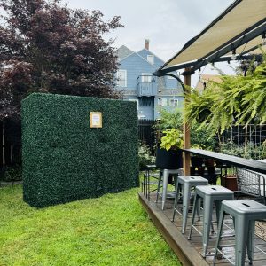 Medium Living Champagne Wall