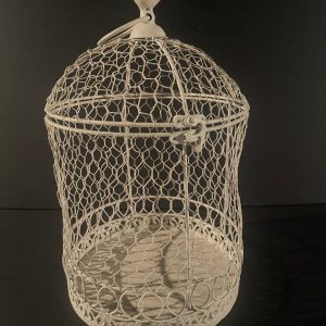 Bird Cage Card Box